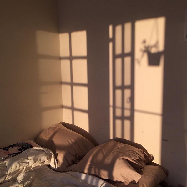Peaceful bedroom with morning sunlight streaming through windows